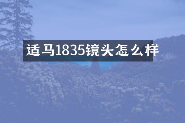适马1835镜头怎么样
