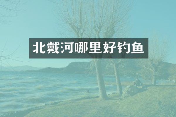 北戴河哪里好钓鱼
