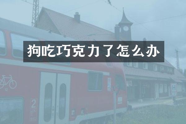 狗吃巧克力了怎么办