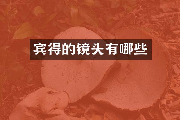 宾得的镜头有哪些