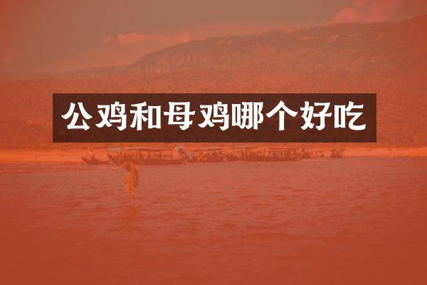 公鸡和母鸡哪个好吃