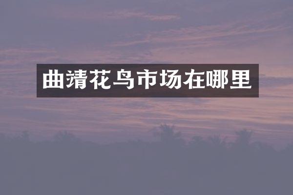 曲靖花鸟市场在哪里