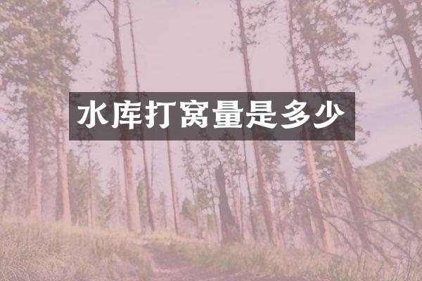 水库打窝量是多少