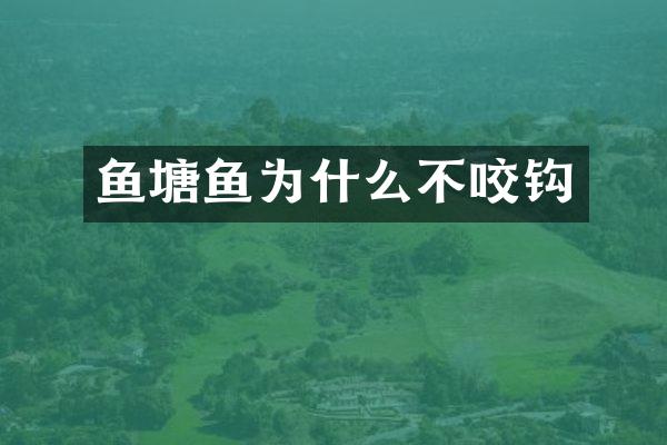 鱼塘鱼为什么不咬钩