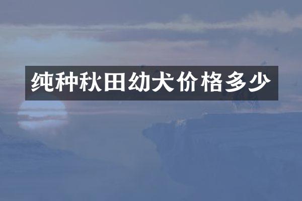 纯种秋田幼犬价格多少