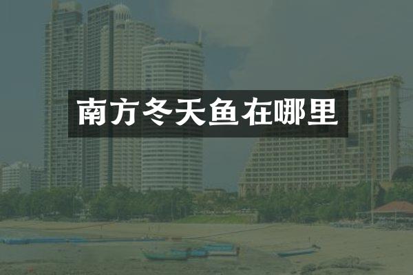 南方冬天鱼在哪里