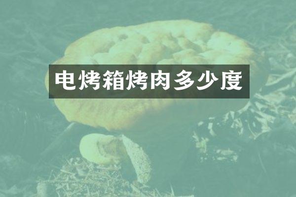电烤箱烤肉多少度