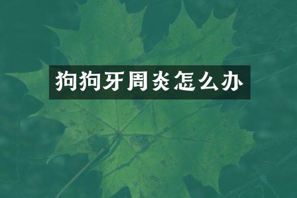 狗狗牙周炎怎么办