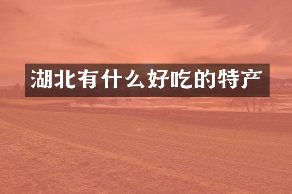 湖北有什么好吃的特产
