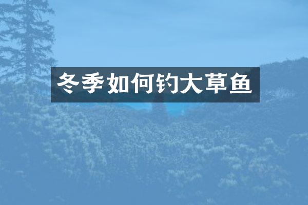 冬季如何钓大草鱼