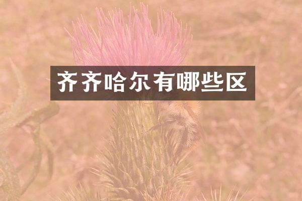 齐齐哈尔有哪些区