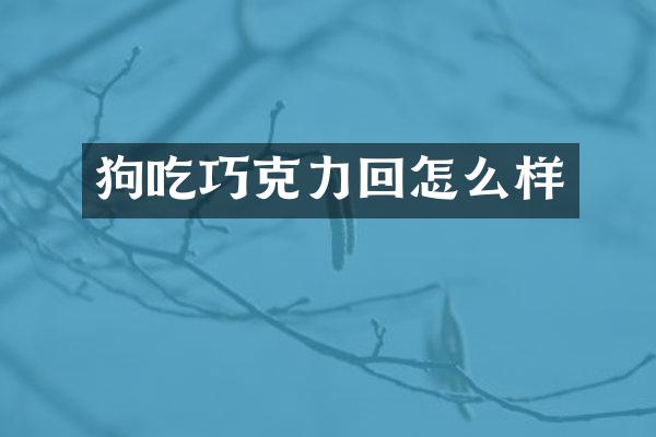 狗吃巧克力回怎么样