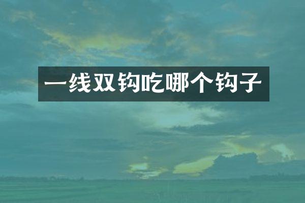 一线双钩吃哪个钩子