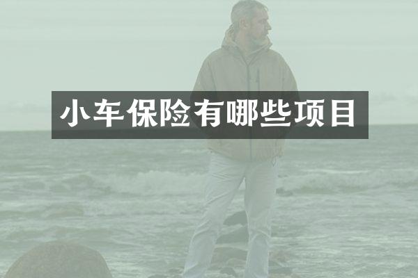 小车保险有哪些项目