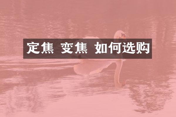 定焦 变焦 如何选购