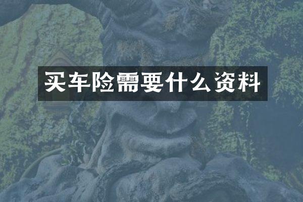 买车险需要什么资料