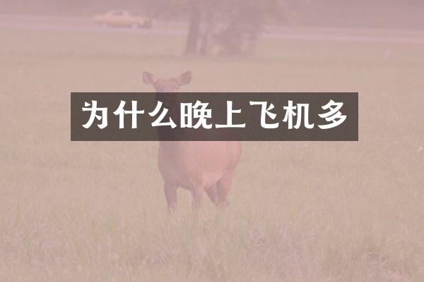 为什么晚上飞机多