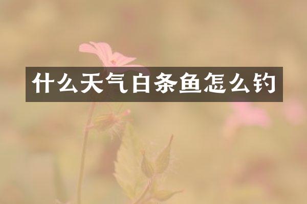 什么天气白条鱼怎么钓