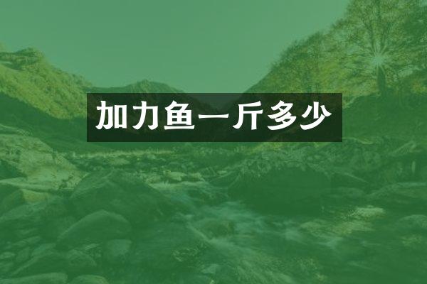 加力鱼一斤多少