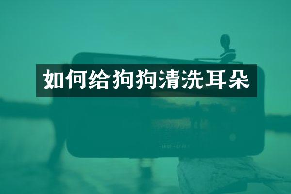如何给狗狗清洗耳朵