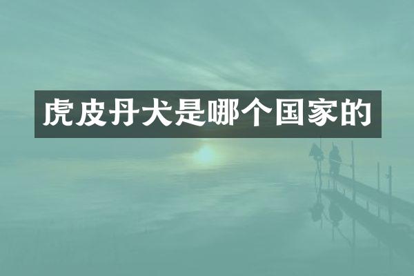 虎皮丹犬是哪个国家的