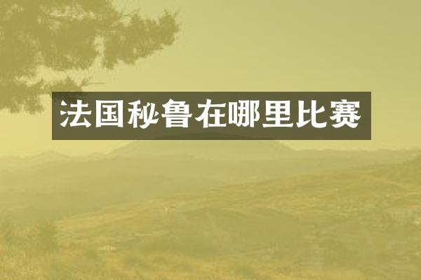 法国秘鲁在哪里比赛