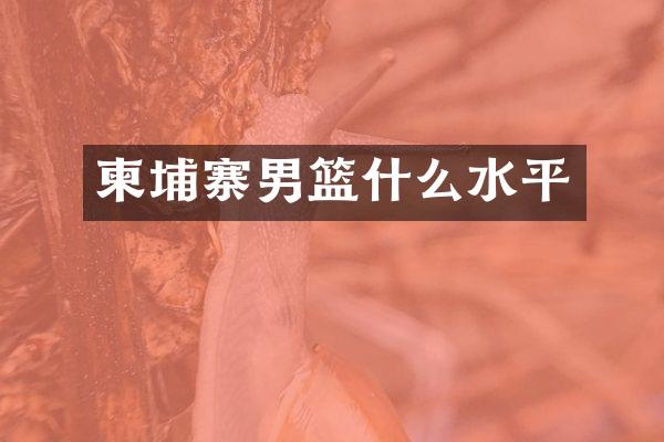 柬埔寨男篮什么水平