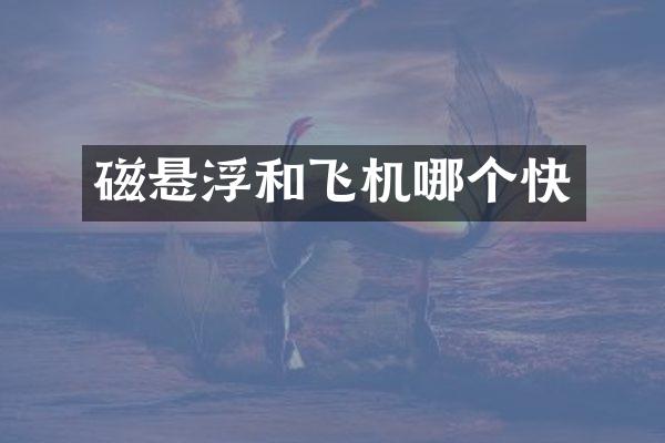 磁悬浮和飞机哪个快