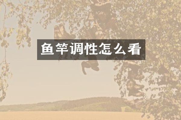 鱼竿调性怎么看