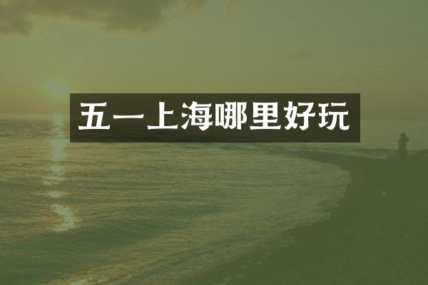 五一上海哪里好玩