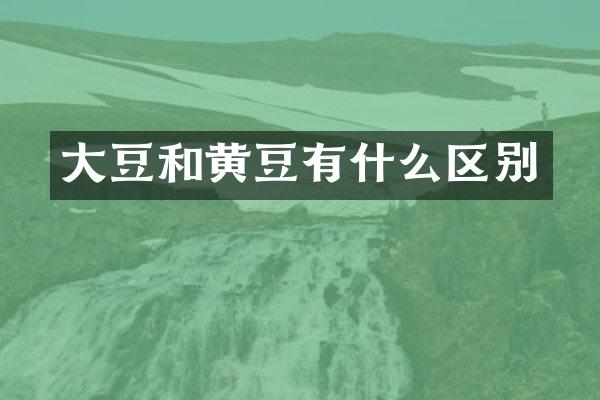 大豆和黄豆有什么区别