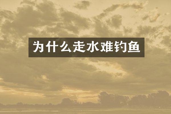 为什么走水难钓鱼