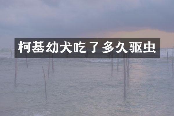 柯基幼犬吃了多久驱虫