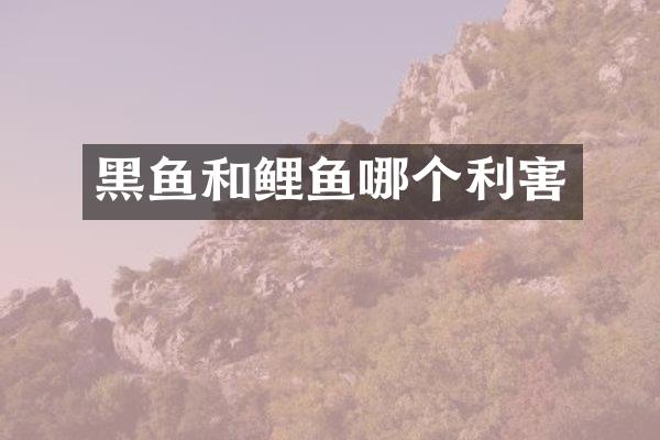 黑鱼和鲤鱼哪个利害