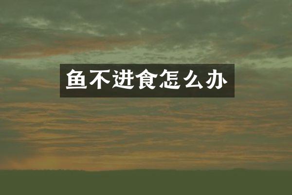 鱼不进食怎么办