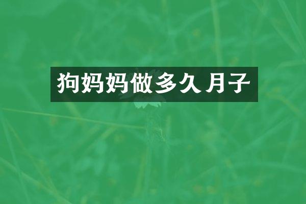 狗妈妈做多久月子