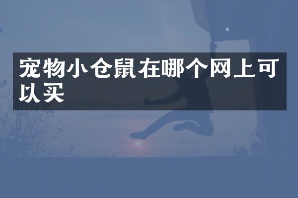 宠物小仓鼠在哪个网上可以买