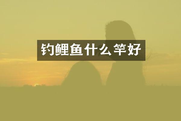 钓鲤鱼什么竿好