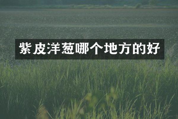 紫皮洋葱哪个地方的好