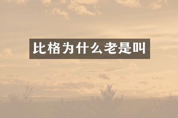 比格为什么老是叫