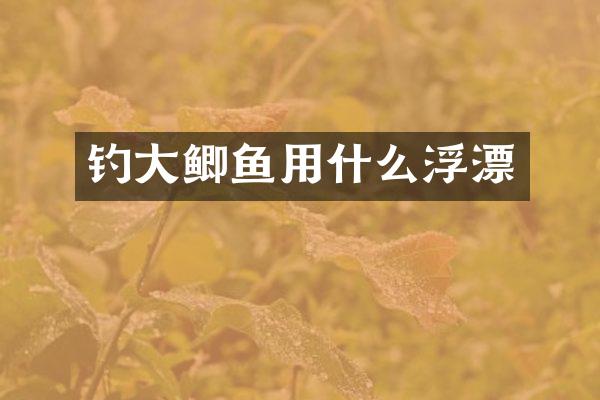 钓大鲫鱼用什么浮漂