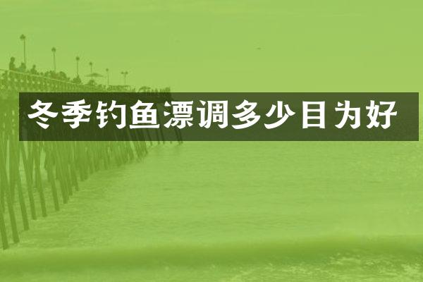 冬季钓鱼漂调多少目为好