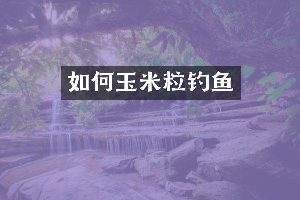 如何玉米粒钓鱼