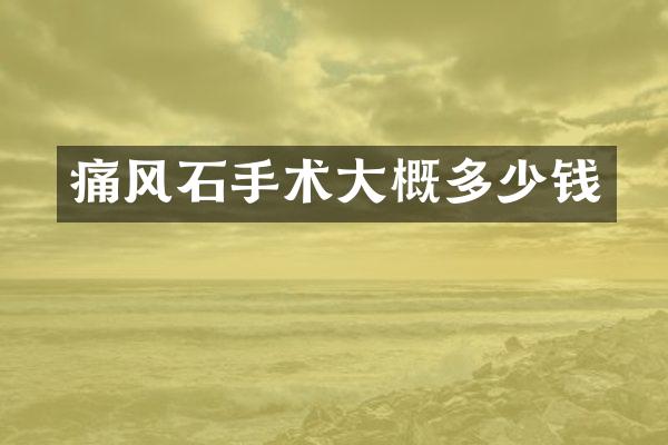 痛风石手术大概多少钱