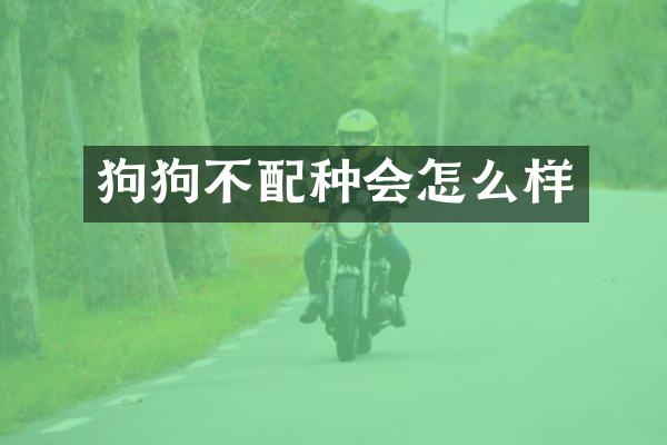 狗狗不配种会怎么样