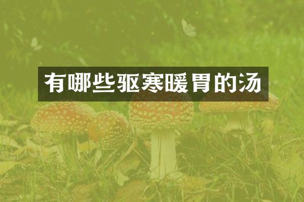 有哪些驱寒暖胃的汤