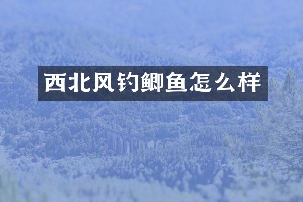 西北风钓鲫鱼怎么样