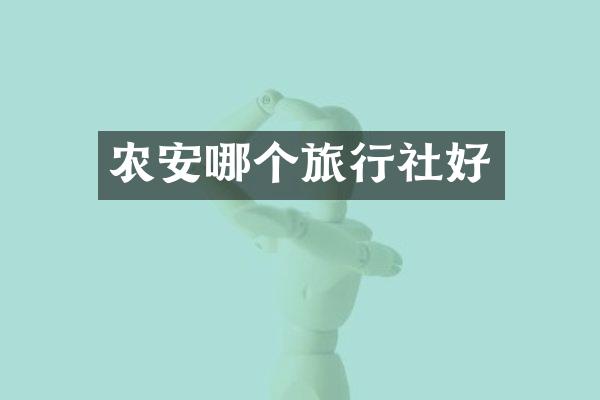 农安哪个旅行社好
