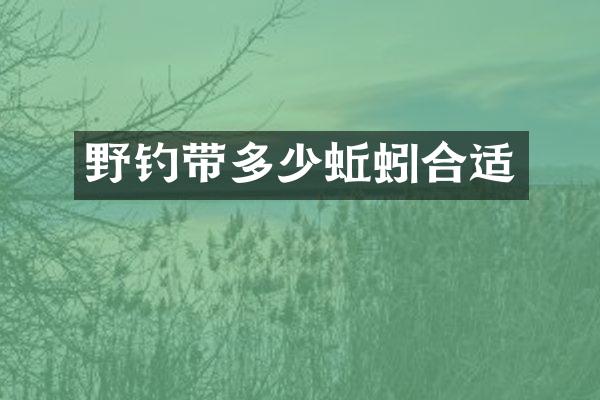野钓带多少蚯蚓合适