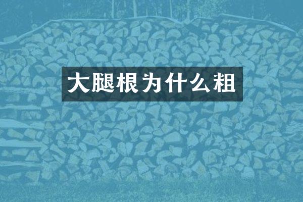 大腿根为什么粗